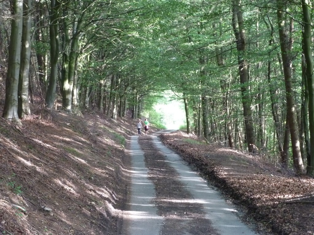 Déficit de naturaleza