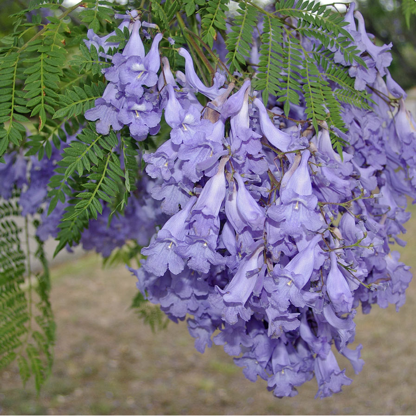 Observaciones sobre el estrés de fin de&nbsp;curso