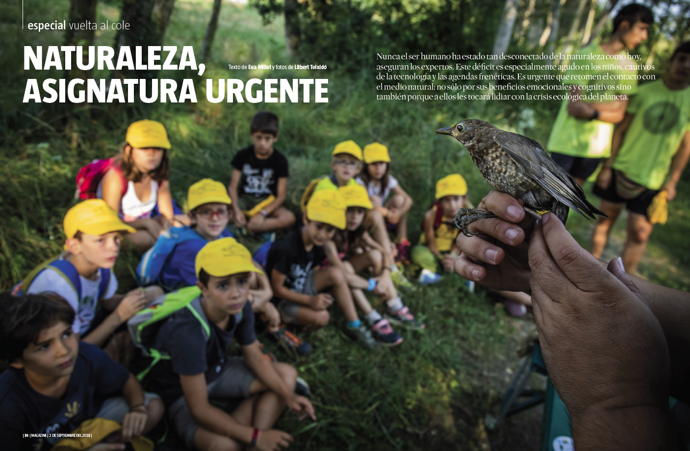 Captura de pantalla 2018-09-03 a la(s) 15.58.32