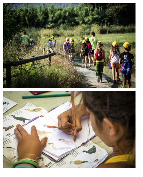 Captura de pantalla 2018-09-03 a la(s) 15.58.56