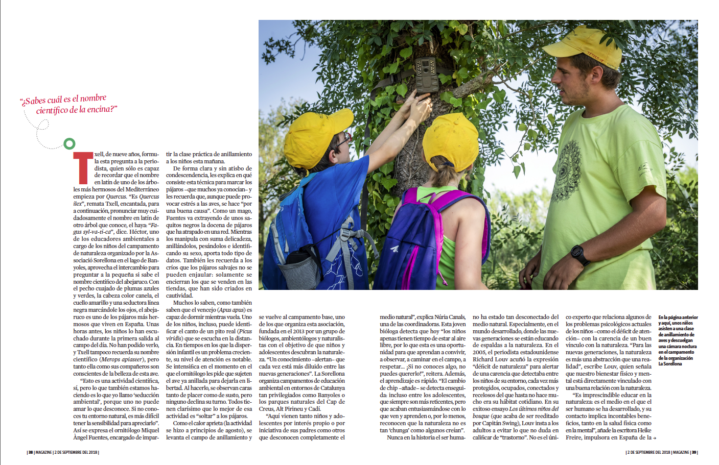 Captura de pantalla 2018-09-03 a la(s) 15.59.05