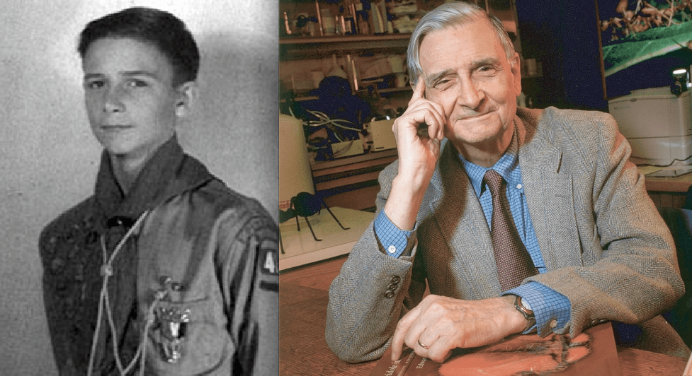 Captura de pantalla 2018-09-03 a la(s) 16.13.41