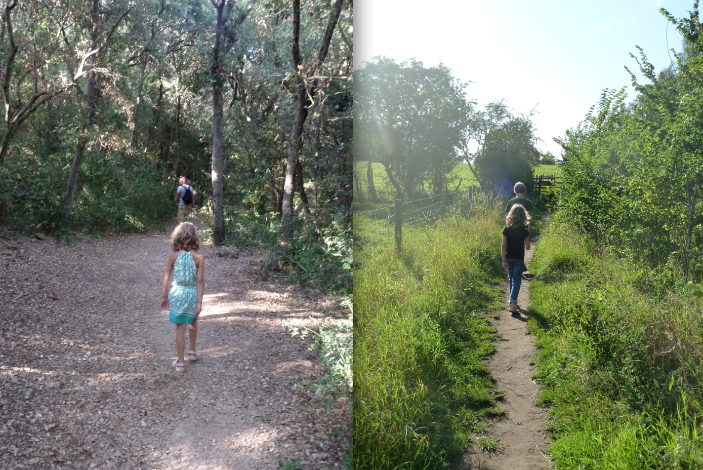 Captura de pantalla 2018-09-03 a la(s) 16.51.59