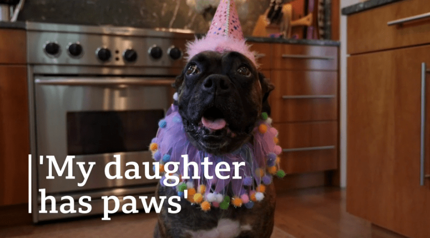 Sobre hijos y&nbsp;mascotas.