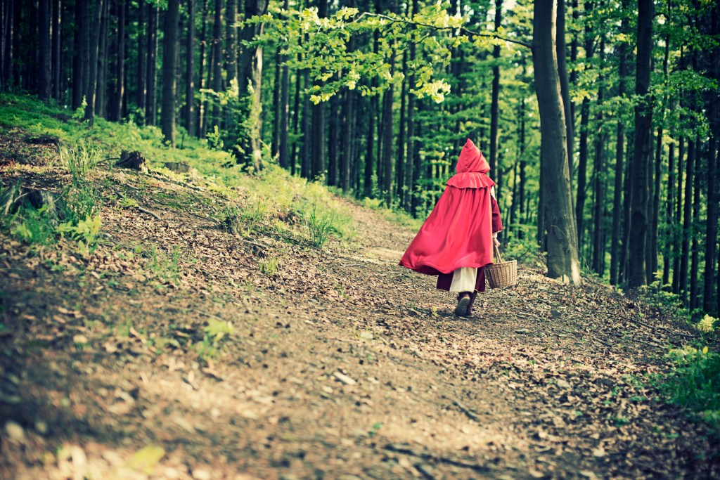 De Caperucita Roja a la autoayuda, ¿qué leen hoy nuestros&nbsp;hijos?