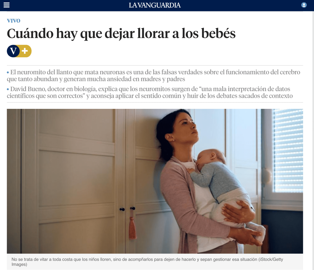 No, el llanto no mata las neuronas del bebé.